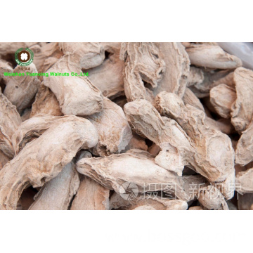Chinese Dried Ginger whole